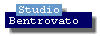 Realizzazione Web a cura dello Studio Bentrovato